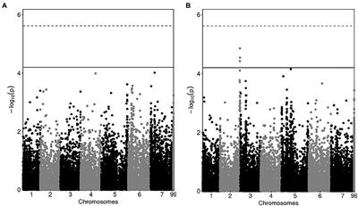 Pea Grain Protein Content Across Italian Environments: Genetic Relationship With Grain Yield, and Opportunities for Genome-Enabled Selection for Protein Yield